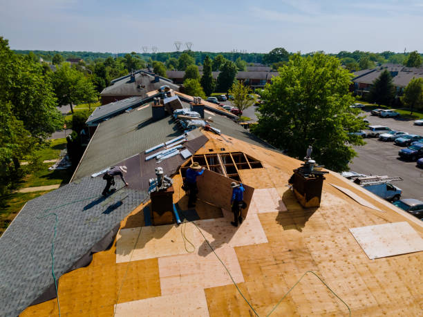 Trusted Roof Inspection service in Rices Landing, PA - Brentwood Metal Roofing